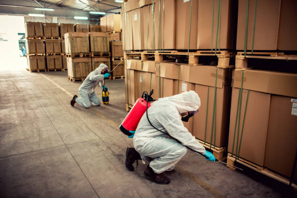 Best Bed Bug Extermination  in Roosevelt, UT