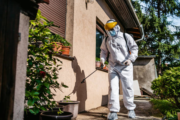 Trusted Roosevelt, UT Pest Control Experts