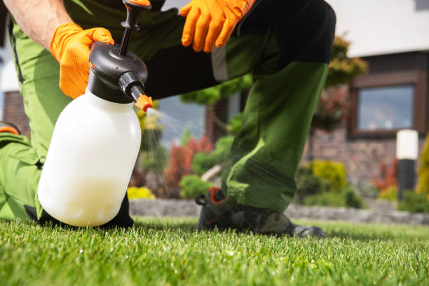 Best Wasp Removal Services  in Roosevelt, UT