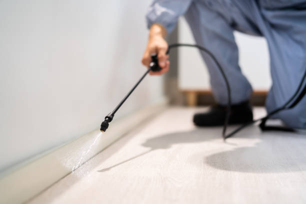 Best Pest Prevention Services  in Roosevelt, UT