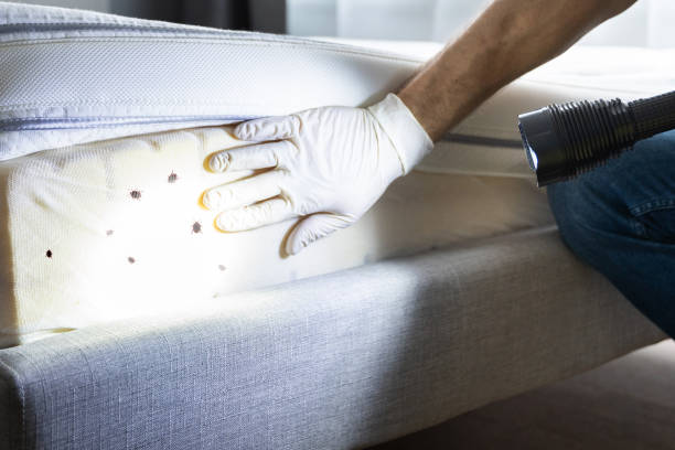 Best Exterminator Services  in Roosevelt, UT