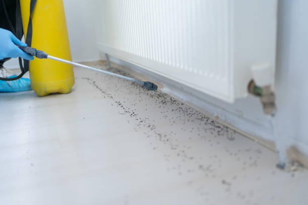 Best Affordable Pest Control Services  in Roosevelt, UT
