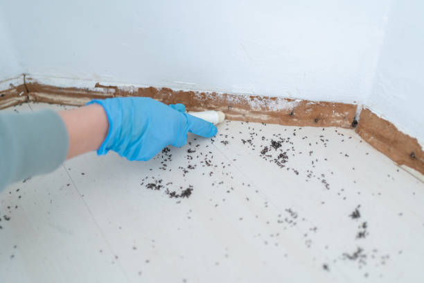 Best Best Pest Control Companies  in Roosevelt, UT